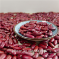 HARICOT ROSE FONCÉ ROUGE rajma HPS 200-220PCS / 100G